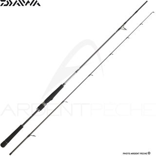 Canne spinning DAIWA Saltist seabass 24