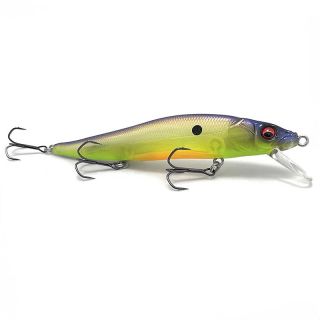 Poisson nageur MEGABASS Vision 110 +1