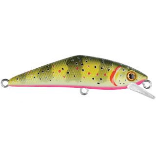 Poisson nageur SMITH D Contact 63