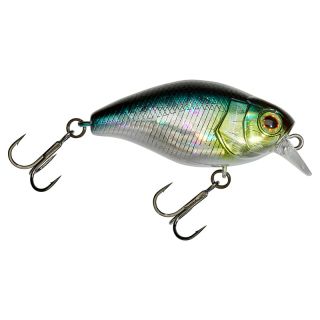 Poisson nageur ILLEX Magum chubby 50