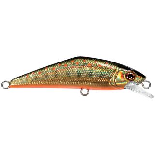 Poisson nageur SMITH D Contact 50 SP