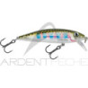 Poisson nageur RAPALA X Rap countdown 05
