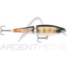 Poisson nageur RAPALA BX Swimmer 12