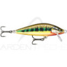 Poisson nageur RAPALA Countdown elite 55