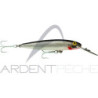 Poisson nageur RAPALA Countdown magnum 07