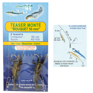 Teasers montés FLASHMER