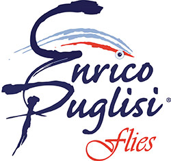 ENRICO PUGLISI